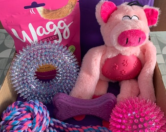 girly dog toys