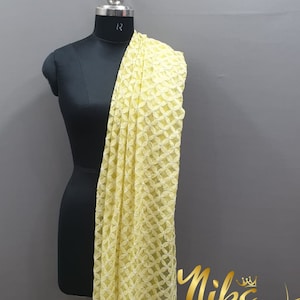 Lucknow Chikankari Dupatta Georgette, Chikan Scarf, Embroidered Scarf Chikan Dupatta, Indian hand Embroidery Hijab, Indian Dupatta for women