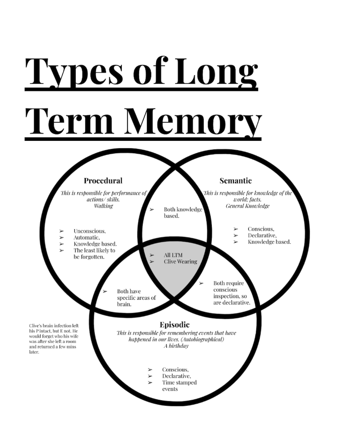 A Memory Revision Notes / A Level Psychology Study Notes Etsy UK A Memory Revision Notes / A Level Psychology Study Notes Etsy UK