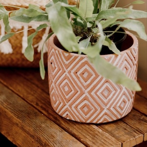 May include: A green fern plant in a terracotta pot with a white geometric pattern. The pot is sitting on a wooden surface.