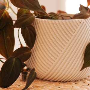 May include: A houseplant with dark green leaves in a white ceramic pot with a geometric pattern. The pot is sitting on a woven mat.