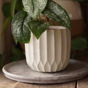 Concrete pot, planter, vase, handmade