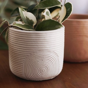 Concrete pot, cement planter, handmade