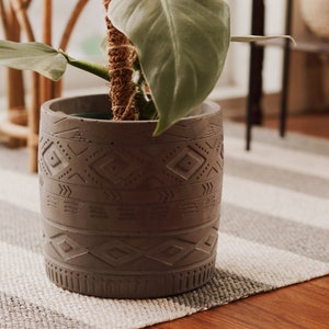 May include: A grey concrete planter with a geometric pattern, featuring a green leafy plant inside. The planter is sitting on a striped rug.