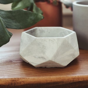 May include: A white geometric concrete planter with a hexagonal shape. The planter is sitting on a wooden surface.