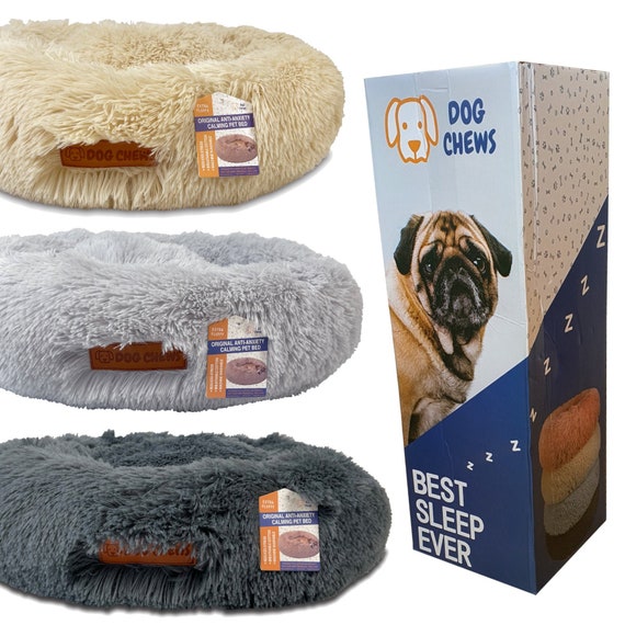 dog chews dog bed