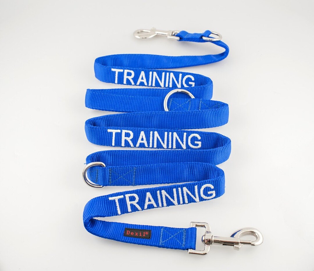 Training Long Dog Lead Etsy UK