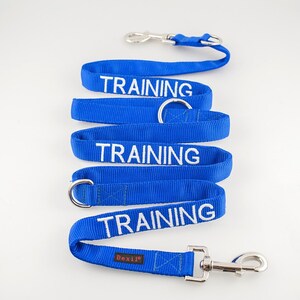 Training Long Dog Lead