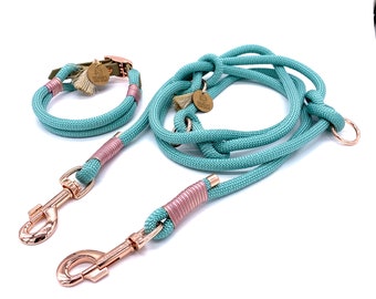 Dog leash and/or collar made of series, turquoise, pink, adjustable, Biothane clasp, rose gold, glitter