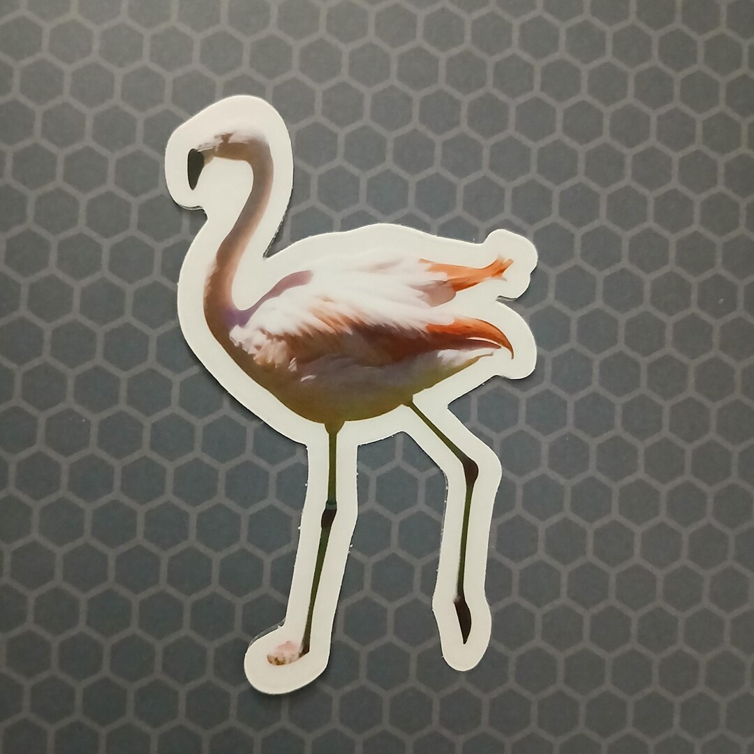 Flamingo Sticker | Realistic Flamingo | Die Cut Sticker - Etsy