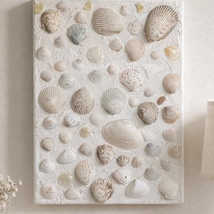 May include: A rectangular wall art piece featuring a textured white background covered in an assortment of natural seashells. The shells vary in size, shape, and shade, including fan-shaped scallops, spiral conchs, and smooth clamshells arranged across the surface.