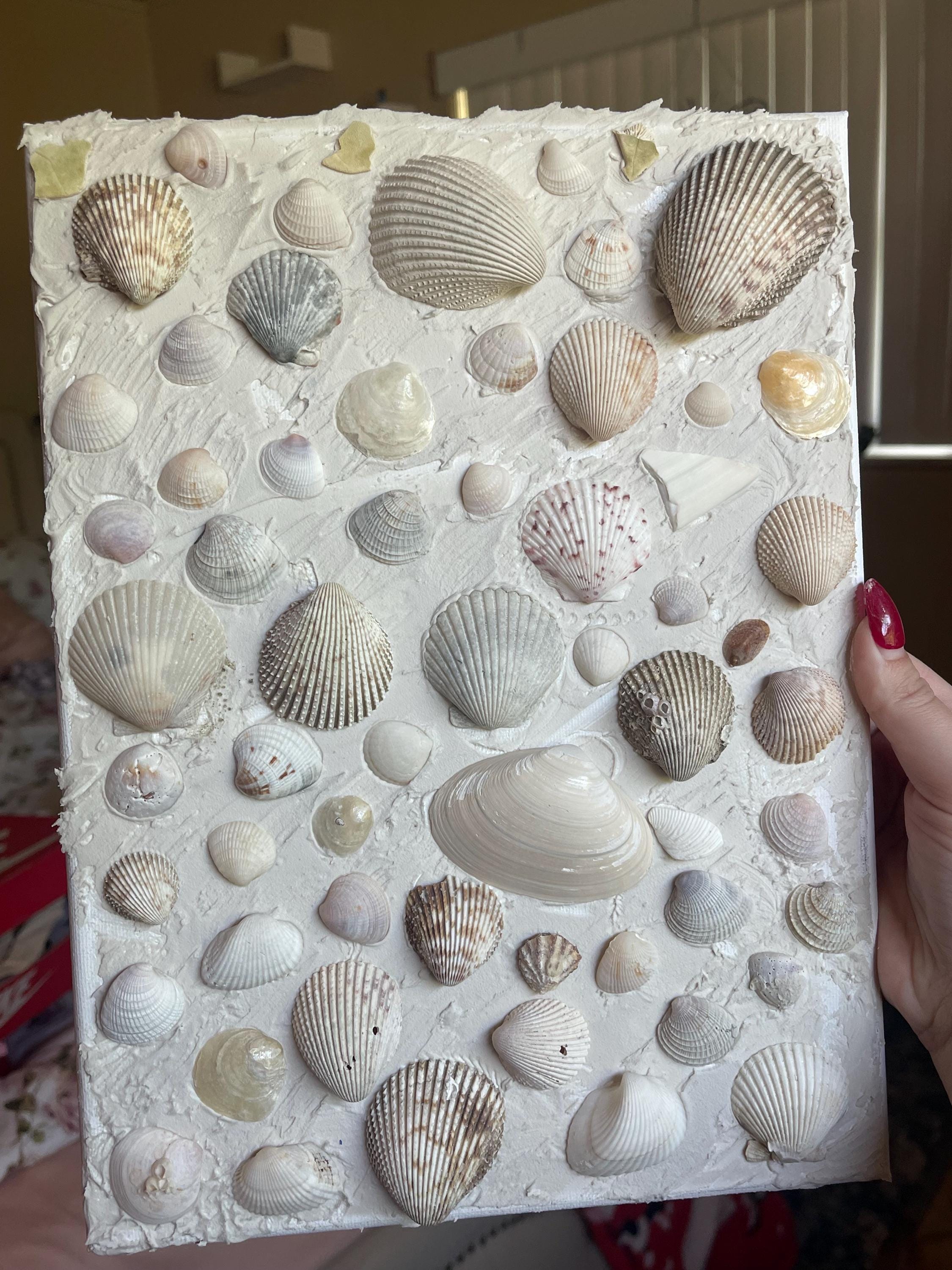 Seashell Wall Art | Textured Coastal Canvas | 3D Beach Decor | Handmade ...