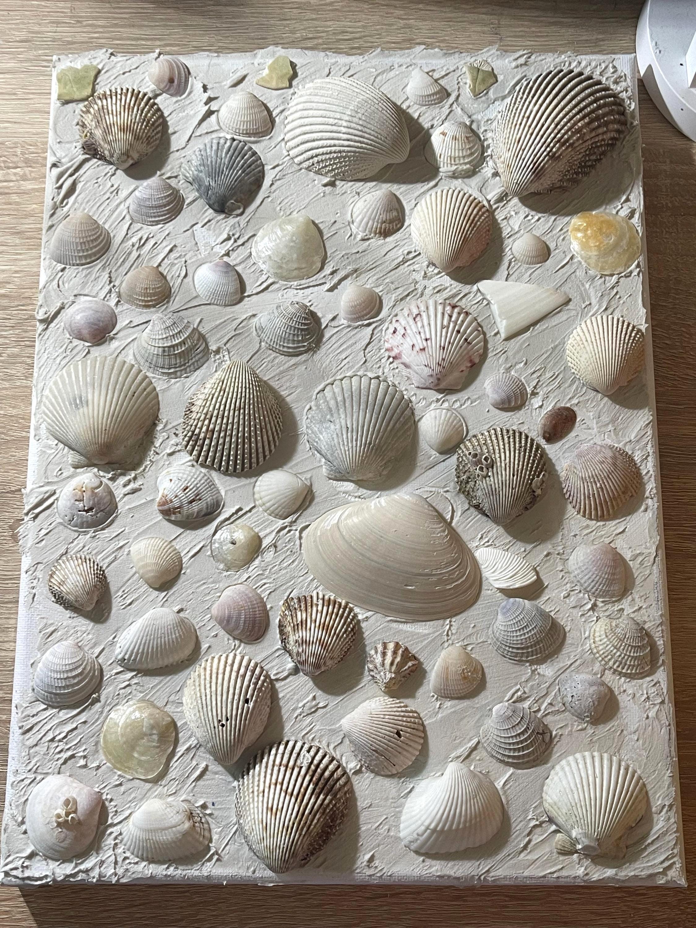 Seashell Wall Art | Textured Coastal Canvas | 3D Beach Decor | Handmade ...