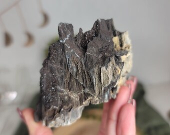 Permineralized Wood, Indonesia | 05