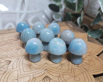 Mini Trolleite Mushroom