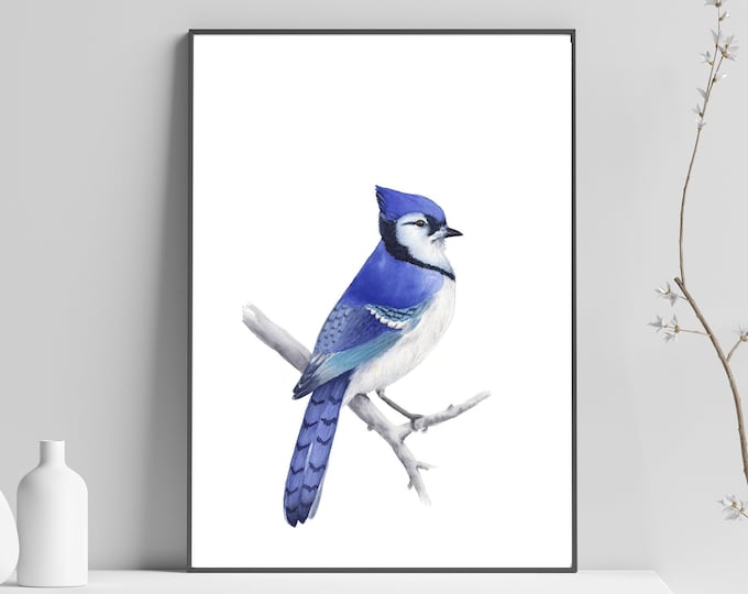 Jay Watercolor printable, Printable Bird, Printable Wall Art, Printable Art, Printable Birds Art, Digital files prints, INSTANT DOWNLOAD