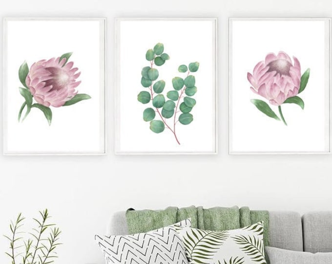 Set of 3 Protea Wall Art PNG & JPG, Printable Watercolor Print, Eucalyptus leaves Watercolor, Floral Print Wall art Botanical Decor Gift