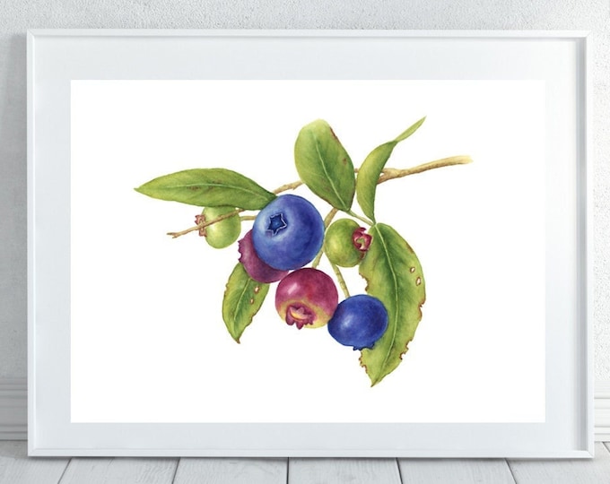 Currant Watercolor Painting Art PNG & JPG printable Floral Art, Floral Print, Floral Home Decor, Herb Painting Botanical Print Kitchen Wall