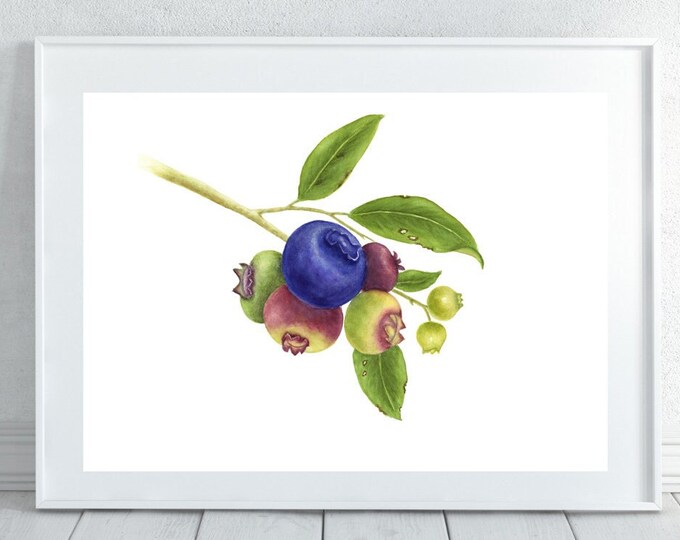 Vintage Botanical Print Berries Watercolor Painting Art PNG & JPG printable Floral Art Print, Herb Painting Botanical Print Kitchen Wall