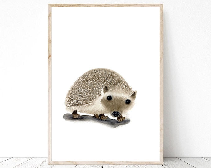 Printable Hedgehog Nursery Wall Art PNG & JPG, Hedgehog Print, Hedgehog Printable Art, Hedgehog Decor, Watercolor Hedgehog Baby Art