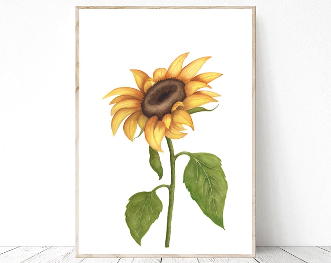 Sunflower Watercolor Printable Wall Art PNG & JPG, Botanical Illustration Image for DIY Crafts, Graphic Design, Collages Card Making Invites