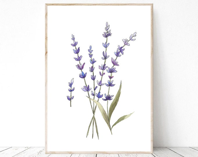 Lavender Flowers Watercolour printable PNG & JPG Herb Painting Botanical Print Kitchen Wall Decoration Purple and Green Art Minimalist