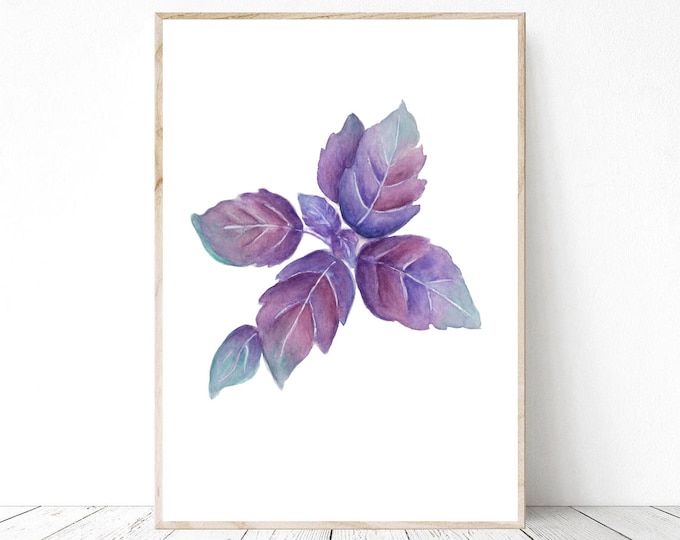 Botanical Basil Print PNG & JPG, Watercolor painting Floral Wall Art, Floral Print botanical Wall Decor Gift, Instant Download Printable Art