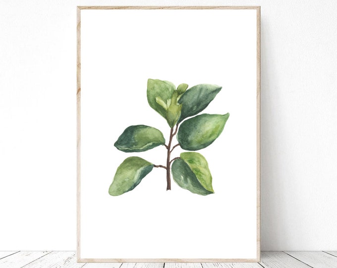 Basil Herb Watercolor Painting printable Print PNG & JPG, Kitchen Decor, Green Herb, Botanical, Herb Watercolor, Original Herb Plant