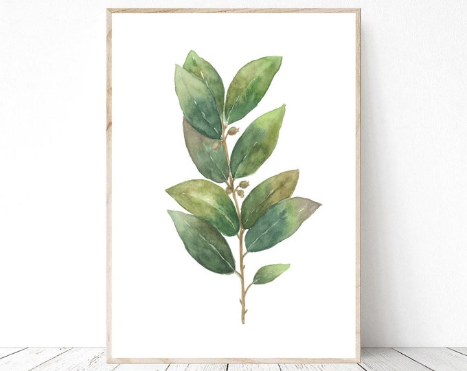 Bay Leaves Watercolor Print PNG & JPG, Printable Wall Art, floral wall art, botanical Print Art, Floral Print botanical Wall Decor Gift