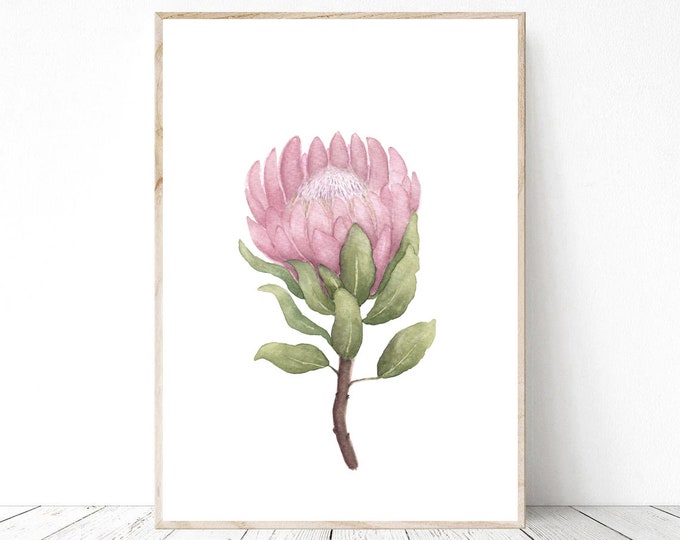 Protea Watercolor Tropical Flower, Protea Pink flower Watercolor Printable Wall Art JPG and PNG, Plant Protea Print, Botanical Prints