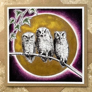 Trois hiboux sages, hibou, carte de Noël, porte-bonheur, examens, remise des diplômes, anniversaire, anniversaire, félicitations, sagesse, oiseau, ornithologue