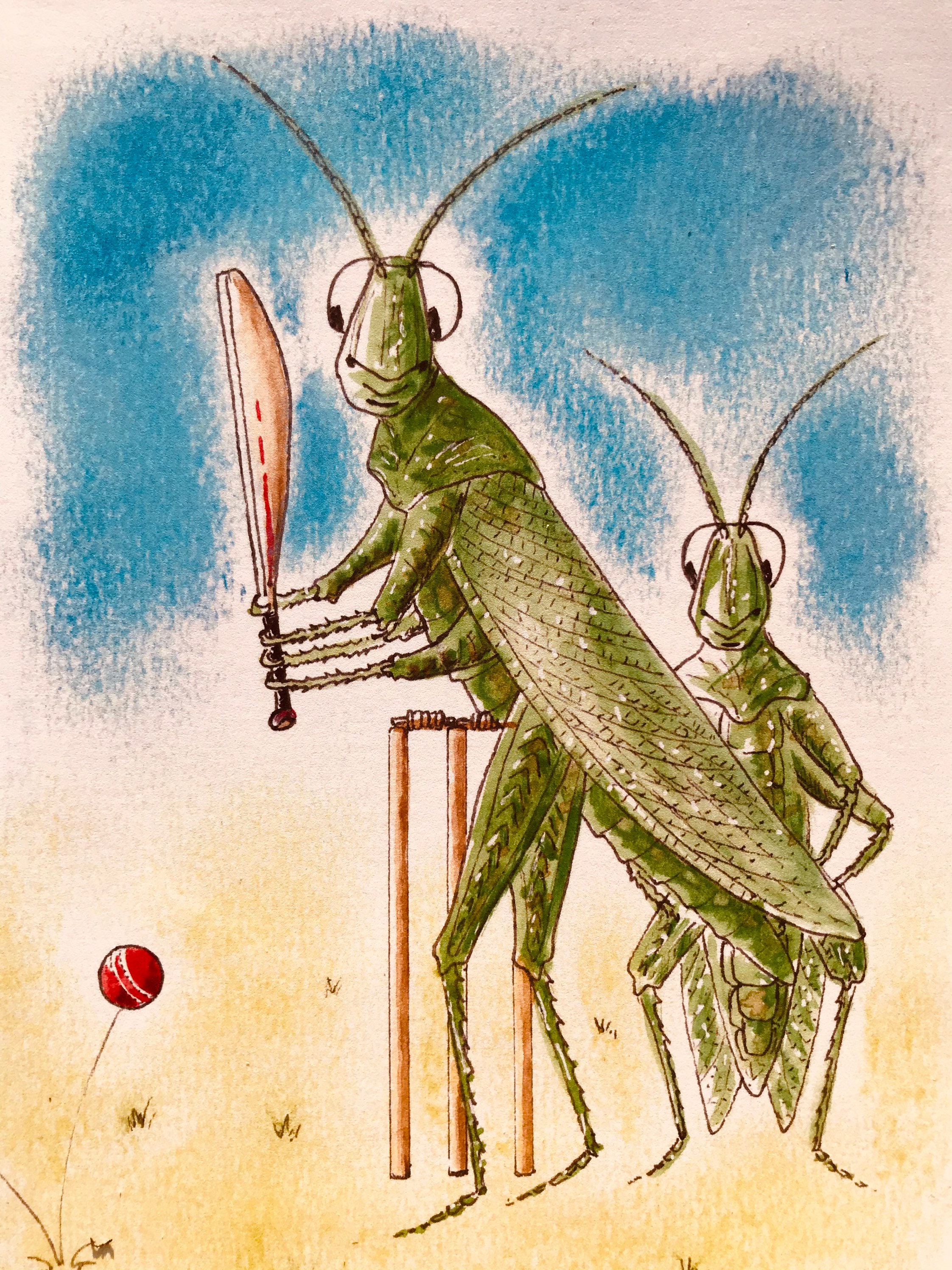 Cricketing Crickets Greetings Card Cricket Lovers Sports Etsy UK