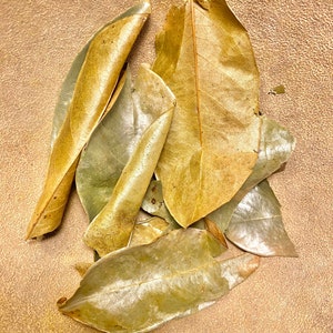 Soursop Leaves