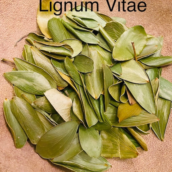 Lignum Vitae