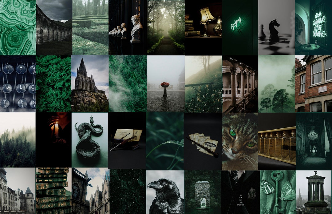 Slytherin Wall Art  Paintings, Drawings & Photograph Art Prints