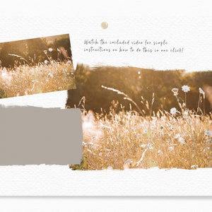 K&ouml;nnte beinhalten: Eine Nahaufnahme eines Feldes mit hohem Gras und Wildblumen in warmem, goldenem Licht. Das Bild ist so zugeschnitten, dass das Feld im Vordergrund zu sehen ist, mit einem verschwommenen Hintergrund aus B&auml;umen und Himmel.