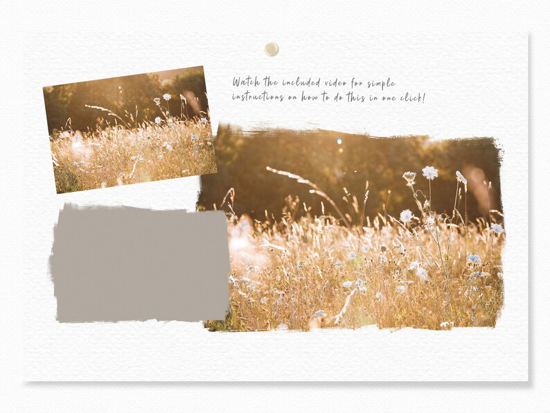 K&ouml;nnte beinhalten: Eine Nahaufnahme eines Feldes mit hohem Gras und Wildblumen in warmem, goldenem Licht. Das Bild ist so zugeschnitten, dass das Feld im Vordergrund zu sehen ist, mit einem verschwommenen Hintergrund aus B&auml;umen und Himmel.