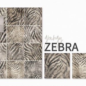 Può includere: Motivi digitali con stampa zebrata in tonalità grigie e beige. L'immagine include il testo "grungy ZEBRA" e "riley B graphics". I motivi sono senza cuciture e adatti a varie applicazioni di design.
