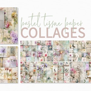 Dipinti collage di carta velina pastello - Collage di diario spazzatura - Dipinti collage floreali - Collage di pastelli con tecniche miste - Collage stampabili