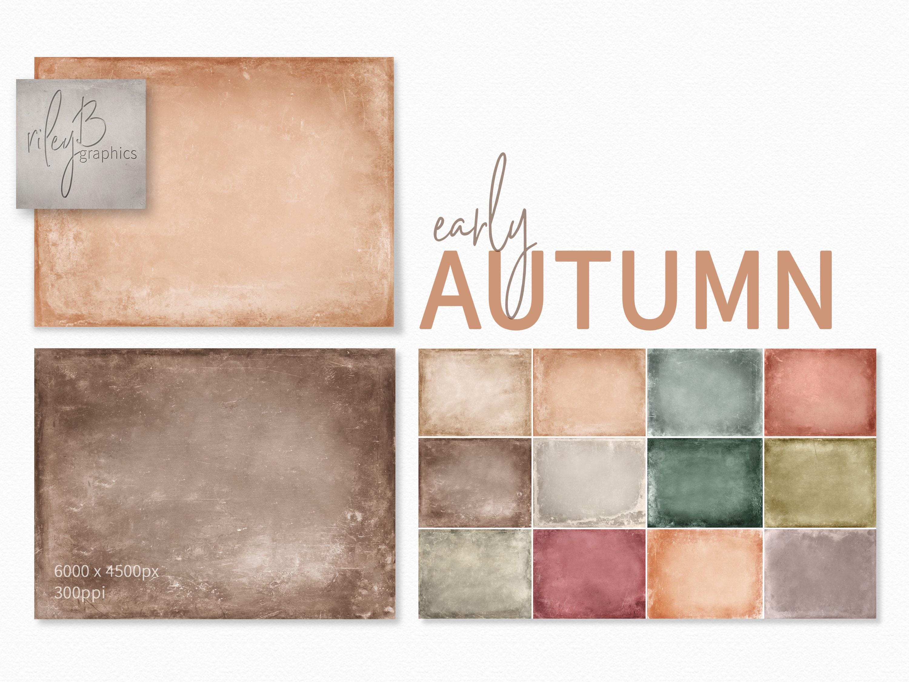 Fall Back Texture Early Autumn Textures - Soft Fall Textures - Soft Earthy Textures ...