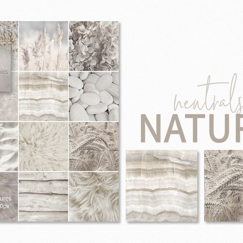 Neutrals in Nature Digital Textures Neutral Textures - Etsy