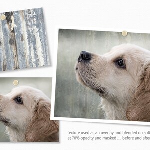 Op de afbeelding: Een close-up van het gezicht van een golden retriever puppy, die omhoog kijkt met een zachte, vriendelijke uitdrukking. De vacht van de puppy is lichtbruin en pluizig. De achtergrond is een wazige afbeelding van een getextureerd oppervlak.