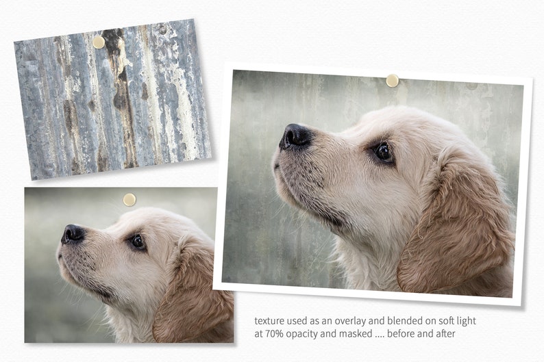 Op de afbeelding: Een close-up van het gezicht van een golden retriever puppy, die omhoog kijkt met een zachte, vriendelijke uitdrukking. De vacht van de puppy is lichtbruin en pluizig. De achtergrond is een wazige afbeelding van een getextureerd oppervlak.
