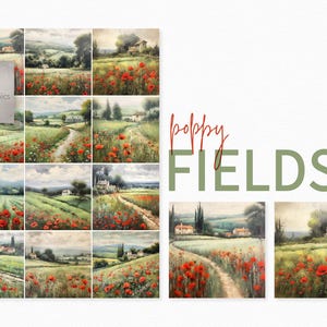 Mohnfelder Digitale Bilder - Mohnfeld Bilder - Mohnblume Landschaft Hintergründe - Mohnblumen