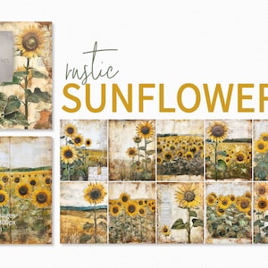 Tournesols rustiques - peintures de champs de tournesols - fonds de campagne de tournesols - paysages de tournesols - tournesols grungy