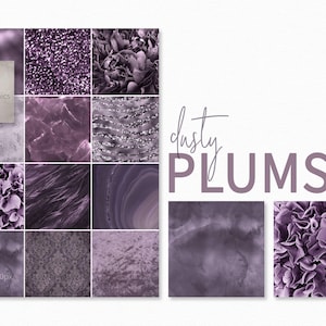 Staubige Pflaumen – Zartviolette und malvenfarbene Texturen – Hintergründe mit Blumen und Samt – Elegante Stein- und Federdrucke – Dezente Pflaumen-Designs