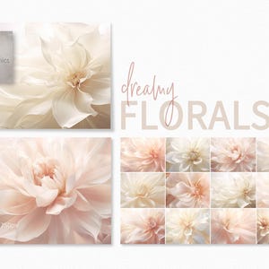Verträumte Blumen – Weiche Dahlienblüten – Rosa-Creme-Blüten – Neutrale Blumen-Nahaufnahmen – Minimale Blumenkunst – Elegante Pastell-Botanik
