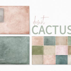 Cactus del desierto – Tonos tierra suaves y apagados – Texturas verde salvia y rosa ruborizado – Sutil desvanecimiento vintage – Superficies naturales desgastadas