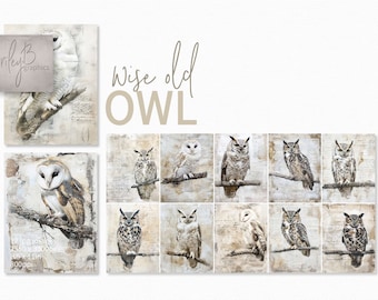 Búhos sabios - Colección de ilustraciones de búhos vintage - Grabados de aves en tonos sepia - Efímeras de naturaleza neutra - Arte antiguo de animales del bosque