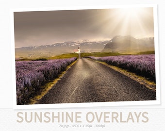 Sunshine Overlays - Sunlight Overlays - Sun Flares - Light Rays - Lens Flares - Light Overlays - Natural Light - Sun Beams - Photo Overlays